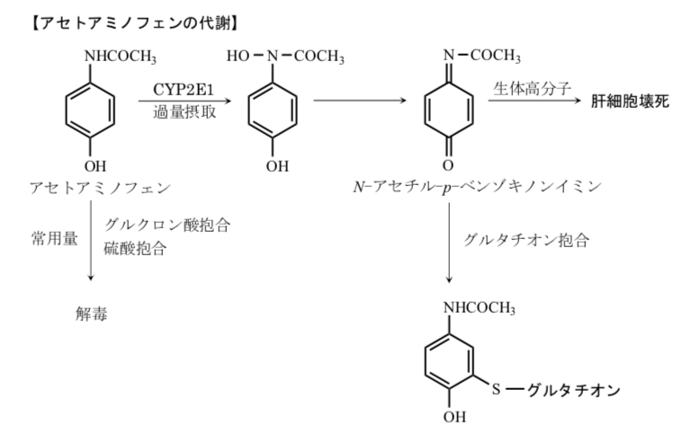 解説画像